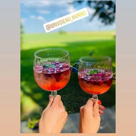 Brivdienu Namins Ar Pirtinu *